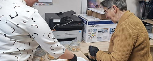 Dzień Pracownika Socjalnego- 21.11.2025